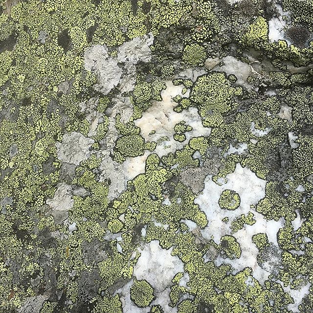 #lichen #europahütte #europaweg #zermatt